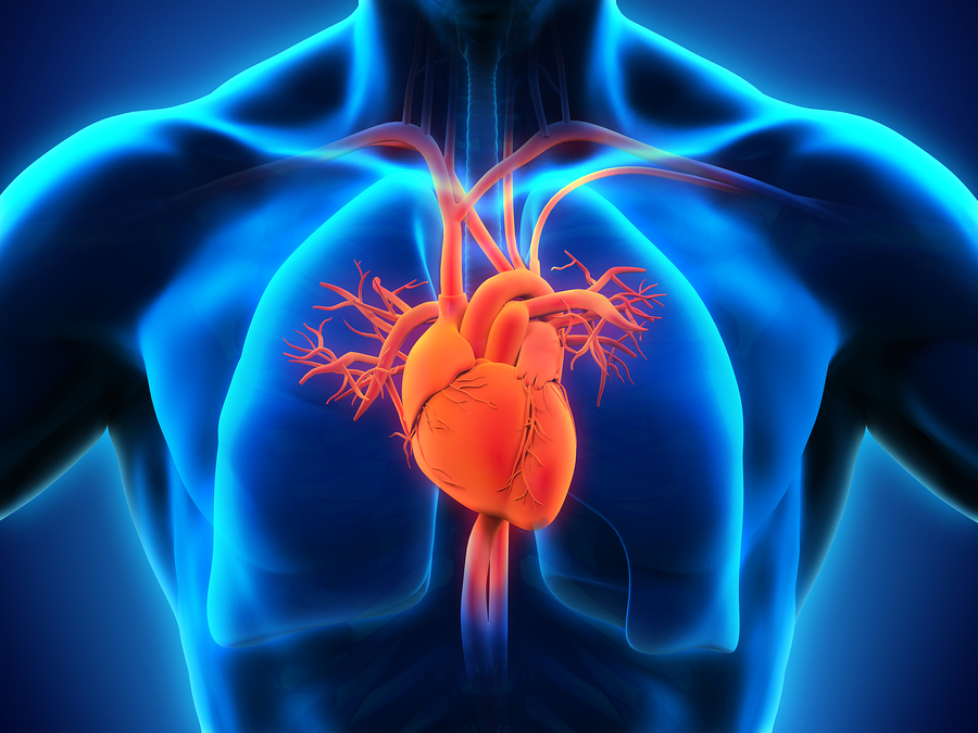 EKG Heart Monitoring
