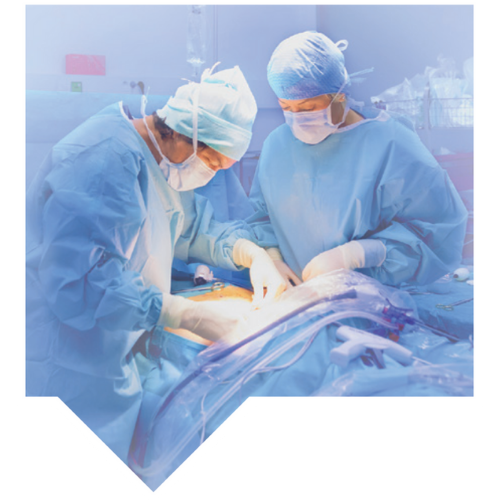 Capnography in Minor Surgery